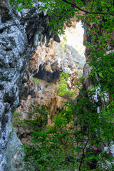 Light from cave entrance of the mountain forest.
