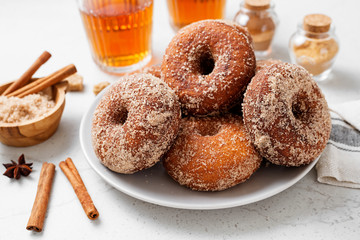 Homemade fresh fried donuts frosted with cinnamon and sugar.