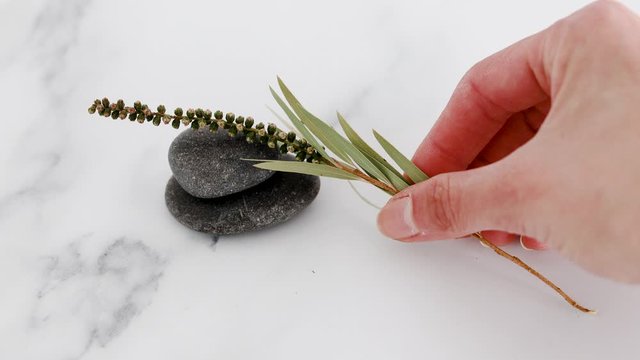 hand placing small branch of leaves on stacked pebles on marble desk