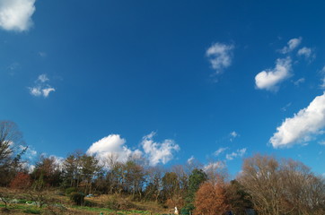 高原で見る青い空と白い雲が素敵です。 The blue sky and white clouds seen on the...