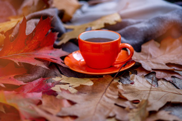 Autumn Background with tea cup, autumn leaves