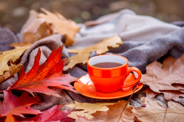 Autumn Background with tea cup, colorful leaves
