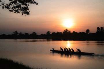 arts Warm sunset and Grassland tree silhouette