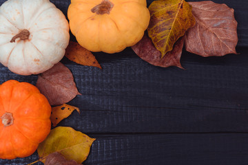 Top view of Pumpkins and and dry leaves on a dark wooden background