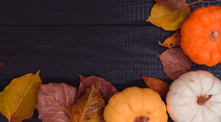 Top view of Pumpkins and and dry leaves on a dark wooden background