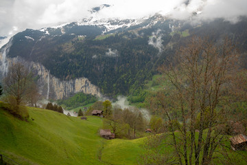 Charming scene of fresh green field with wooden houses on mountain for background with copy space, Switzerland
