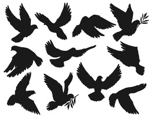 Dove icons, peace and easter symbol, pigeon bird flying with olive branch twig in beak. Vector dove silhouette, sign of Christian church religion, hope and love, resurrection day and holy spirit - obrazy, fototapety, plakaty