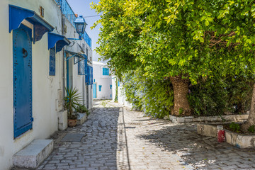 Naklejka premium Narrow street in Tunisia