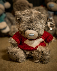 teddy bear in santa hat