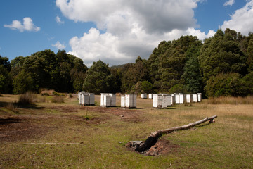 Luina Mining Town Tasmania