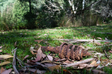 Luina Mining Town Tasmania 