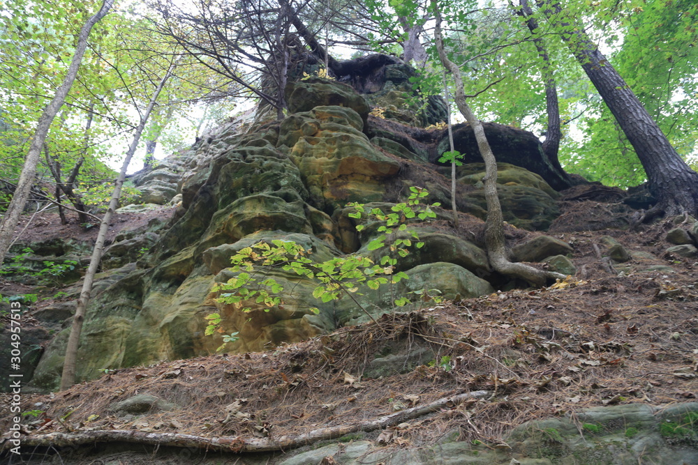 Wall mural Hike in the Woods with Canyon