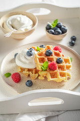 Delicious waffles with fresh blueberries and raspberries
