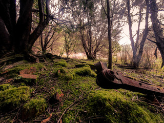 Luina Mining Town Tasmania Tarkine region 