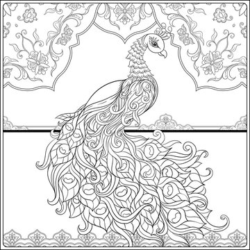 Peacock and eastern ethnic motif, traditional muslim ornament. Coloring page for the adult coloring book. Outline hand drawing vector illustration..