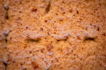 close up of bread