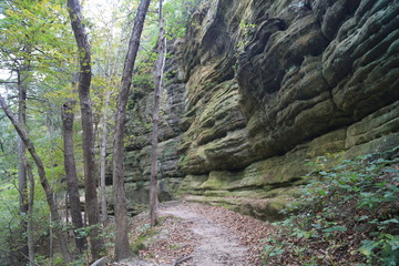 Nature hike with Canyons