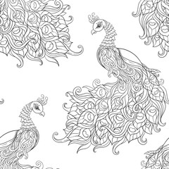 Fototapeta na wymiar Peacock bird seamless pattern, background. Outline hand drawing vector illustration. Coloring page for the adult coloring book.