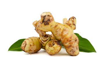 Fresh raw Galangal roots isolated on white backgrond.