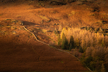Majestic vibrant Autumn Fall landscape Buttermere in Lake District with beautiful early morning sunlight playing across the hills and mountains