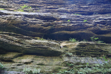 Nature Hike with Stairs and Waterfall