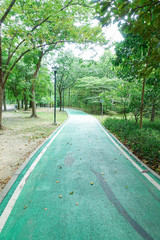 Walkway Lane Path With Green Trees in garden