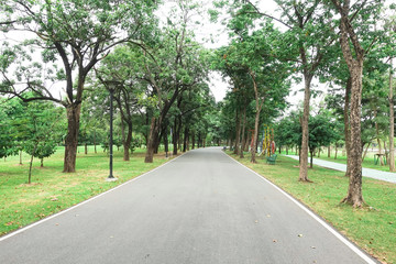 Fototapeta na wymiar Walkway Lane Path With Green Trees in garden