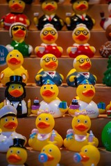 rubber duckies on display