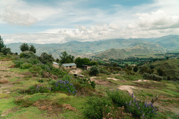  Quilotoa lake volcano greenery and landscape surrounding crater at summit. View of the Green fields, mountains and town of Quilotoa. Shot in Ecuador