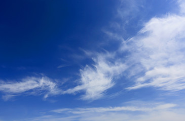 Fototapeta premium nice summer clouds in blue sky