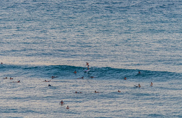 Hawaii Surf