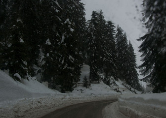 Winter in the mountains, beautiful snow-covered road with no cars, snowy trees and white sky