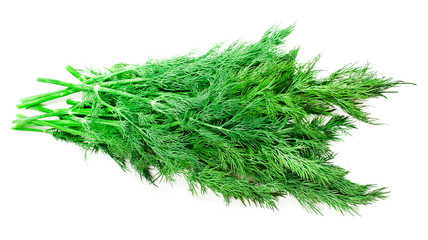 A bunch of fresh dill herb isolated on white background