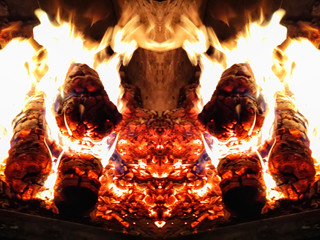 Fascinating primeval appeal of fire and symmetry: a fantastic animal, a fiery monster, a...
