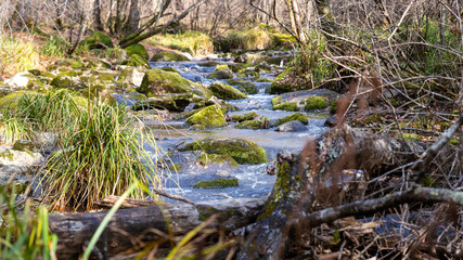 River cascade in early autumn in russian forest