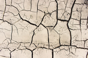 Cracked dried earth on a summer day