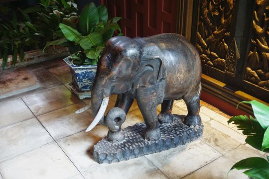 Carved antique wooden elephant with dark patina and real ivory tusks in Bangkok Thailand © John