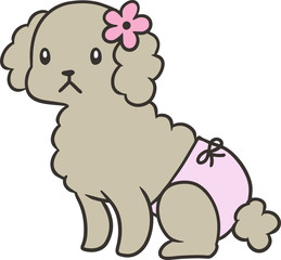 パンツをはいたトイプードルのイラスト