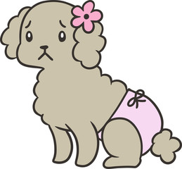 パンツをはいたトイプードルのイラスト_困り顔