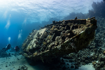 Plakat divers visiting an underwater wreck of a metal sailboat on a reef in the Rea Sea, Egypt