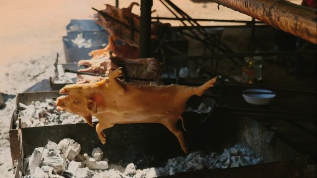 Slow roasted suckling pig on the charcoal grill