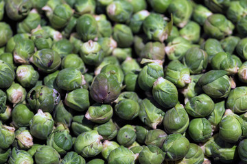 Naklejka premium Brussels sprouts in the store