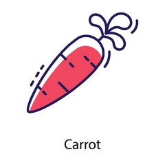Carrot Vegetable Vector