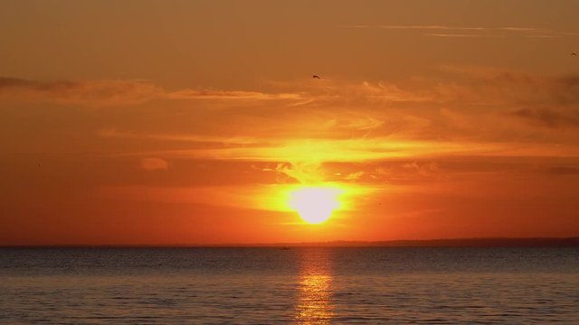 Colorful sunset above the sea surface with a big bright sun and a motorboat on the horizon. Reflected the sun on the water surface and a wide sunbeam. Birds fly over the water at sunset. 4k footage.
