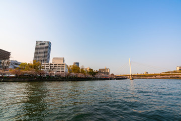 Tombori River Cruising at Osaka cruise of the Dotonbori canal with beautful  city view sunset full bloom cherry blossom Sakura tree forecast pink asian  flower perfact season to travel Japan