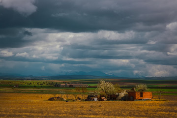 Obraz premium landscape with wheat field and blue sky
