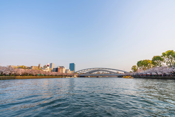 Obraz premium Tombori River Cruising at Osaka cruise of the Dotonbori canal with beautful city view sunset full bloom cherry blossom Sakura tree forecast pink asian flower perfact season to travel Japan
