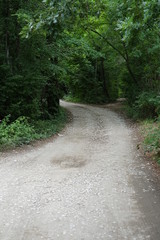 Obraz premium Country road in summer