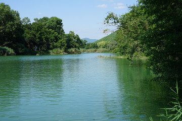 a river landscape