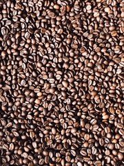 coffee beans background